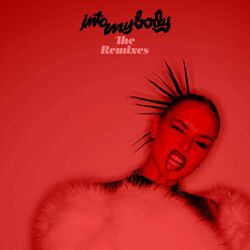 Cover of Into My Body (The Remixes)