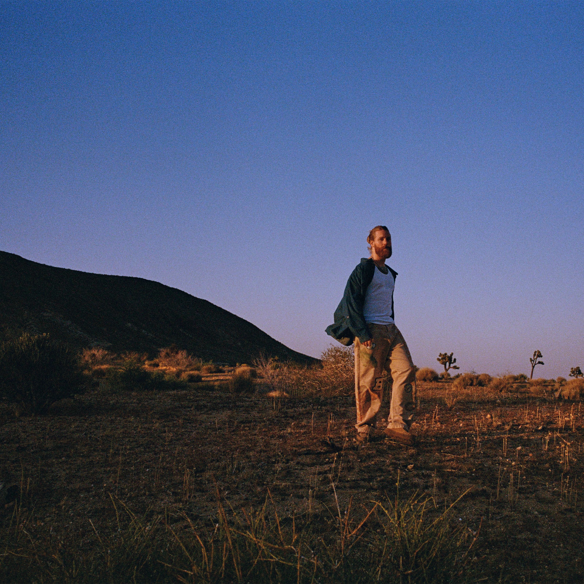 Album cover of Heartland (Deluxe Version)