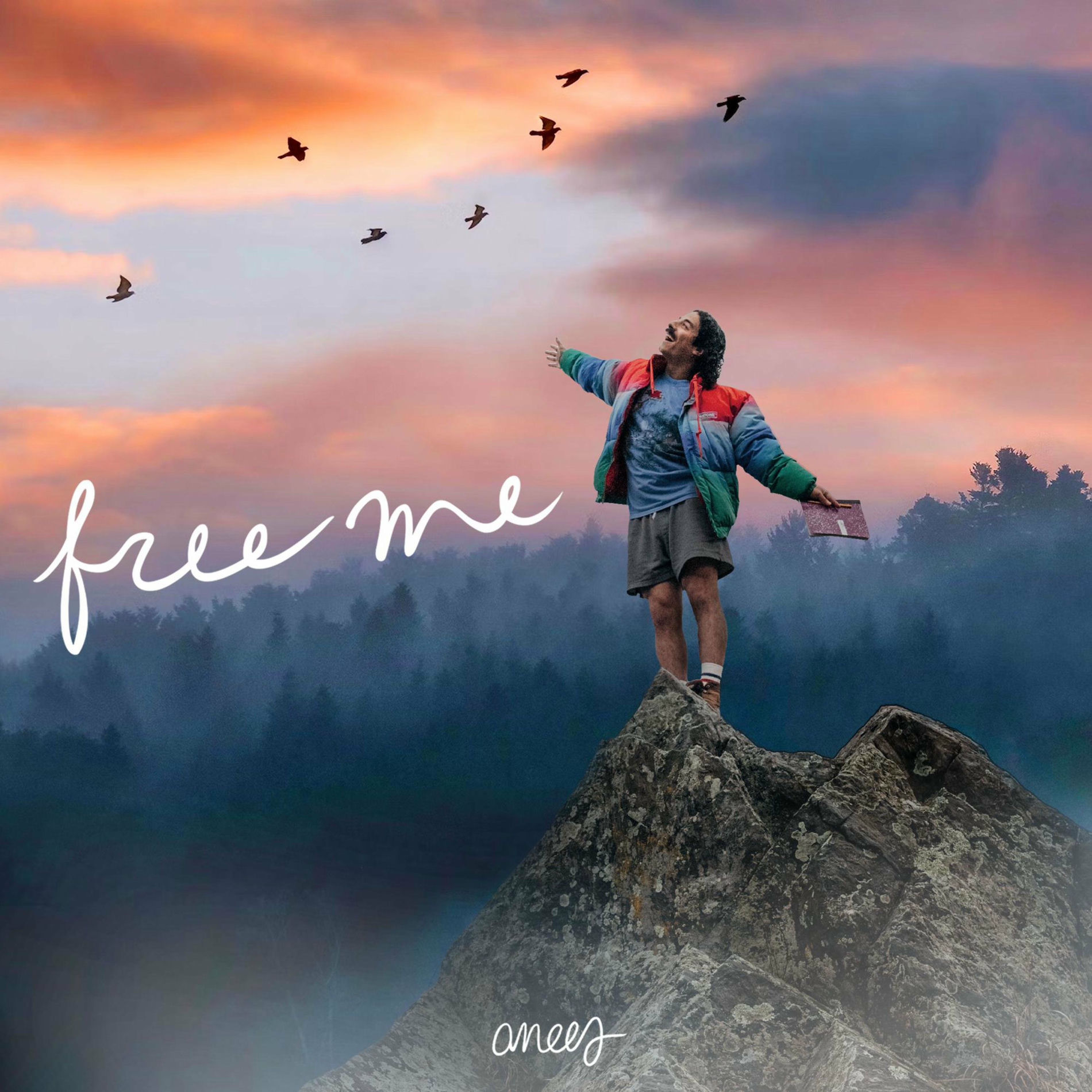 Album cover of free me