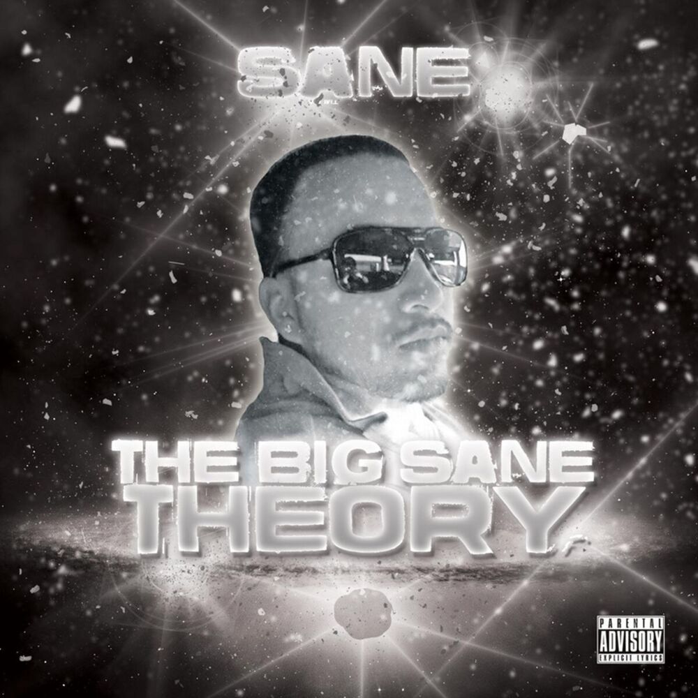 Picture of The Big Sane Theory