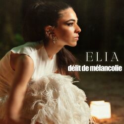 Cover of Délit de mélancolie