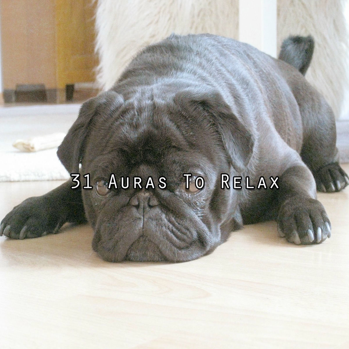 Album cover of 31 Auras To Relax