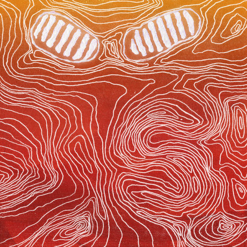 Dabin – senseS – EP