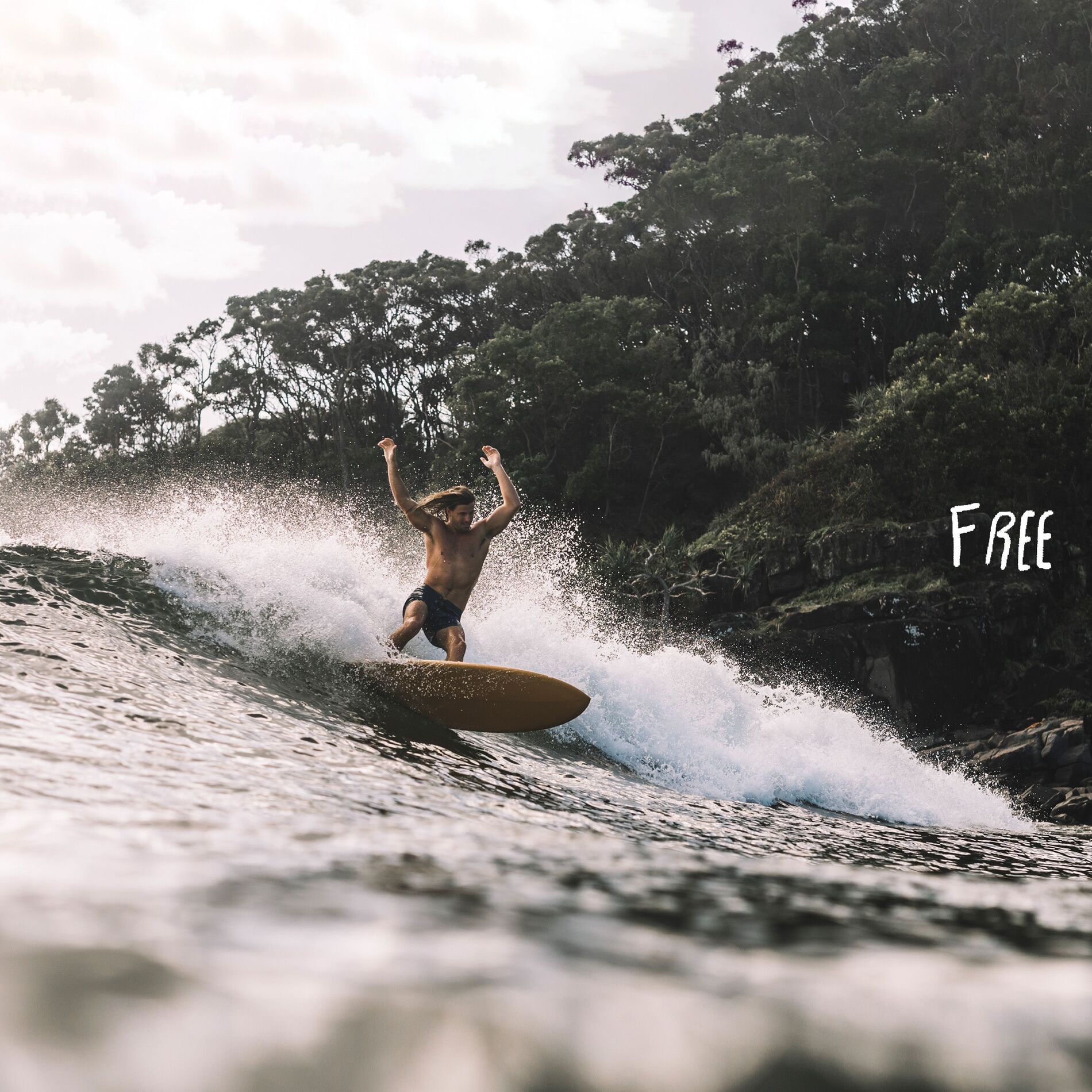 Album cover of Free