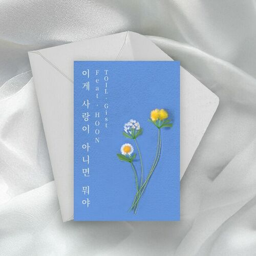 TOIL – What’s Love? (Feat. HOON) – Single