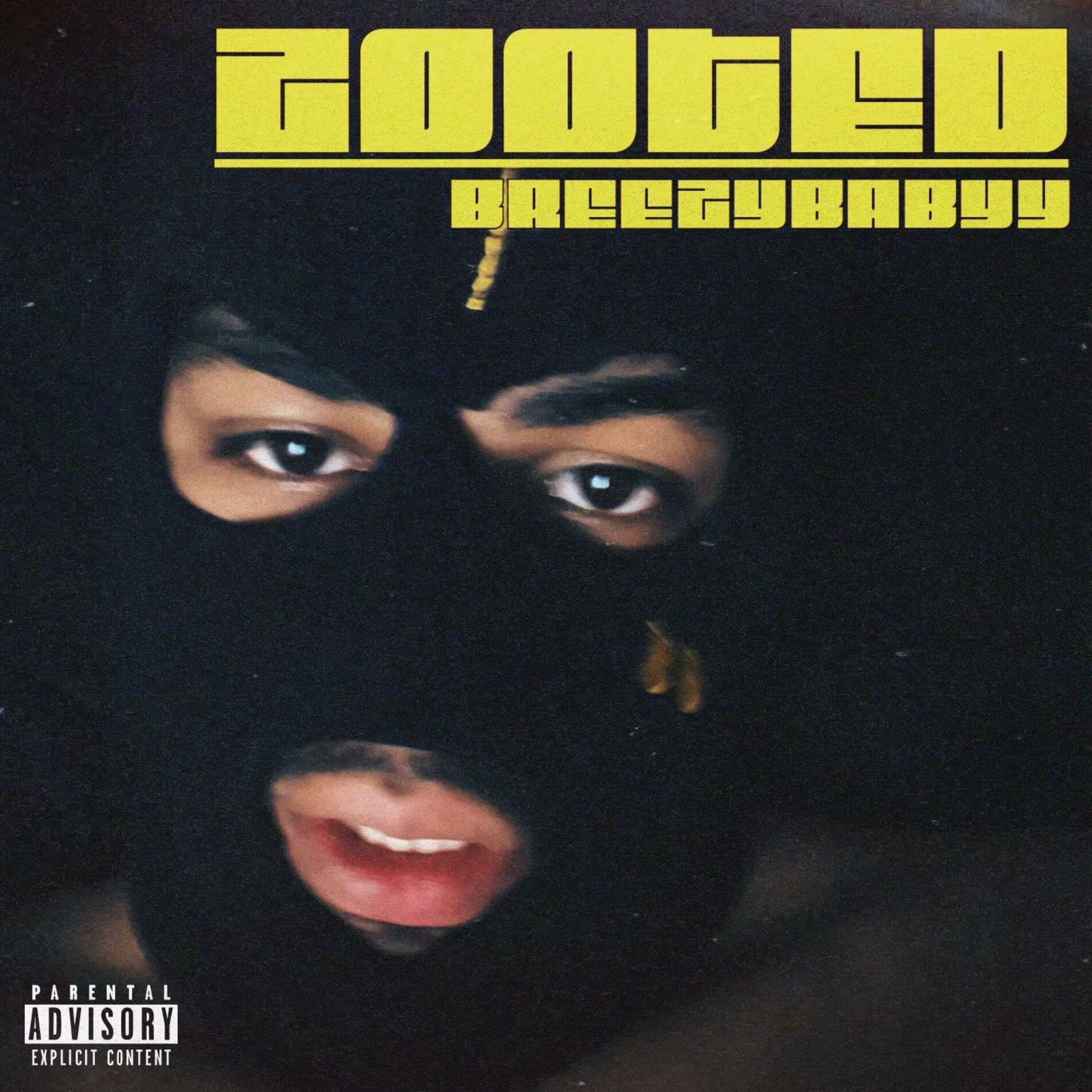 Album cover of Zooted