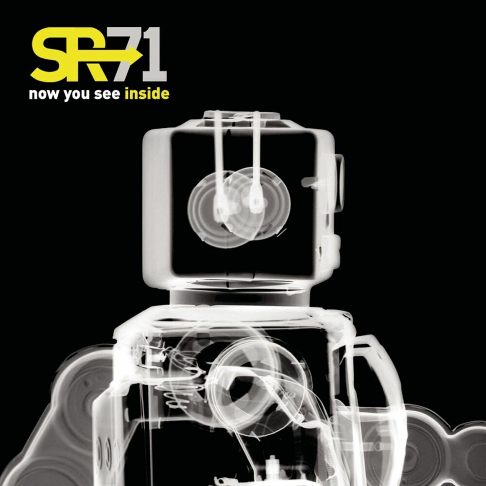 Picture of Now You See Inside