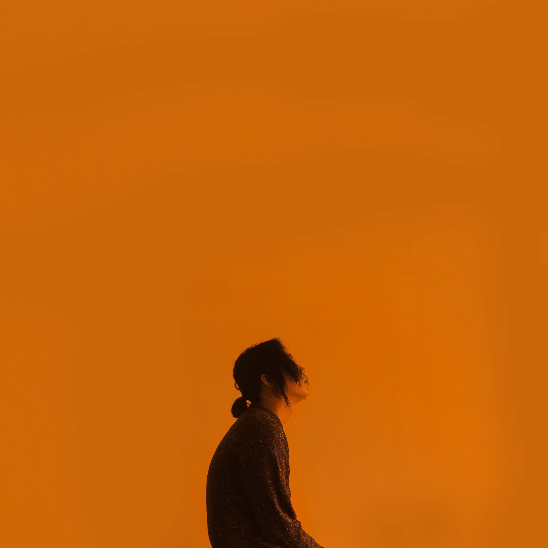Album cover of Waves Aren't Afraid of Falling