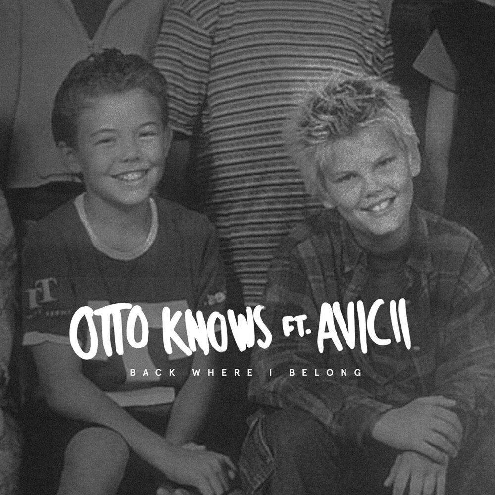 Picture of Back Where I Belong (feat. Avicii)