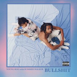 Cover of Bullshit