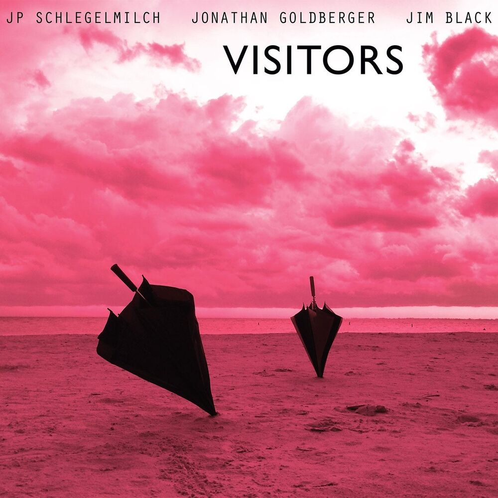 Picture of Visitors