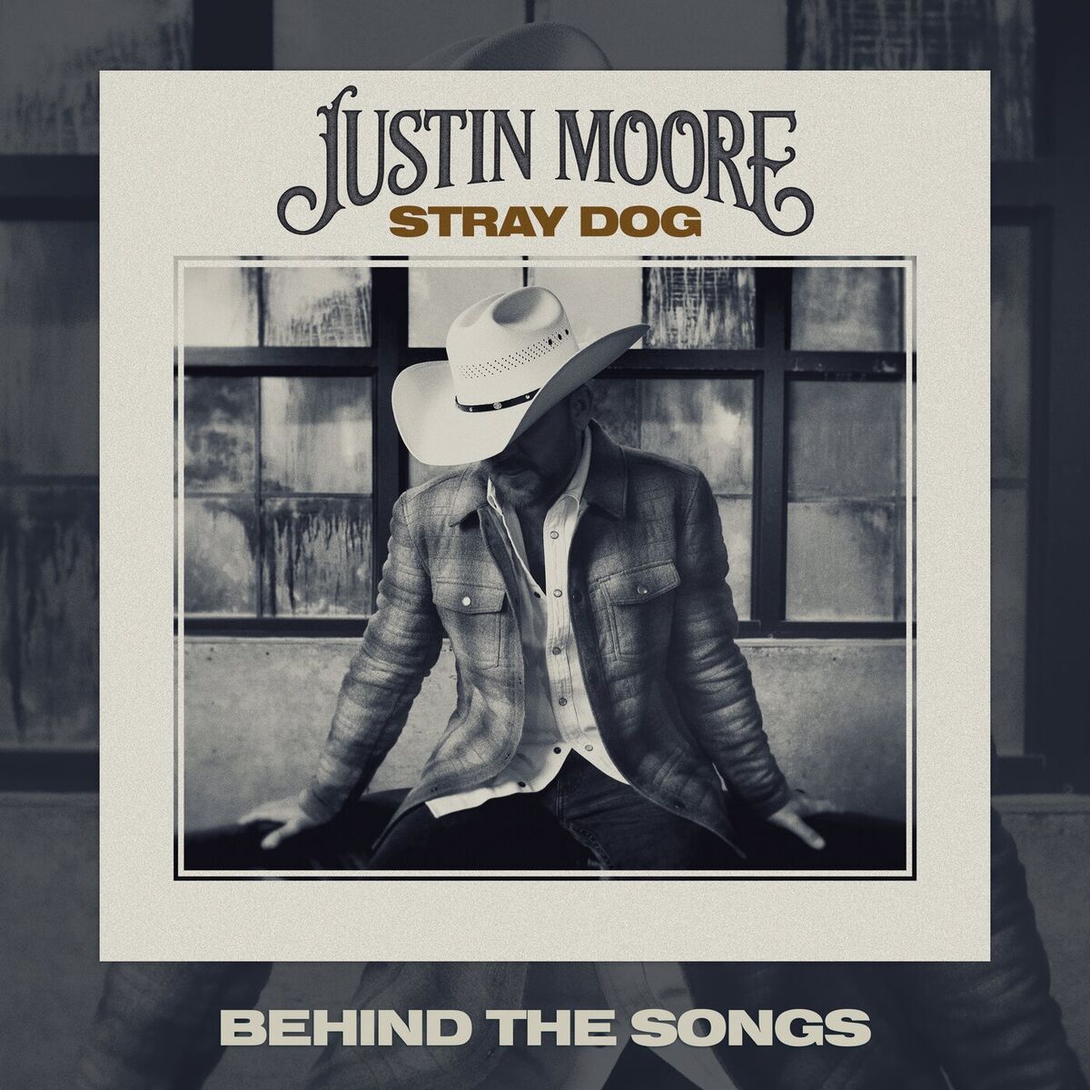 Album cover of Stray Dog (Behind The Songs)