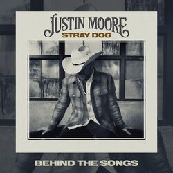 Cover of Stray Dog (Behind The Songs)