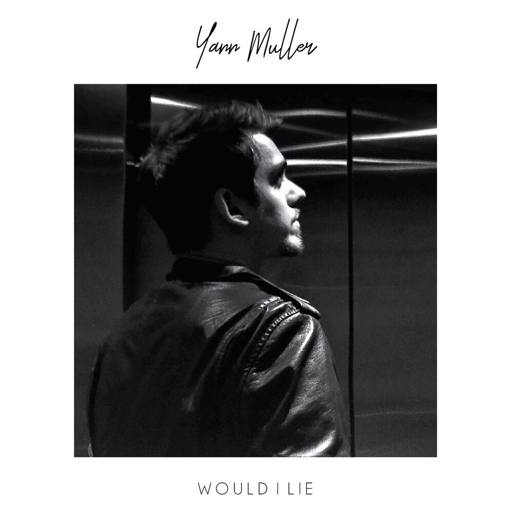 Picture of Would I Lie