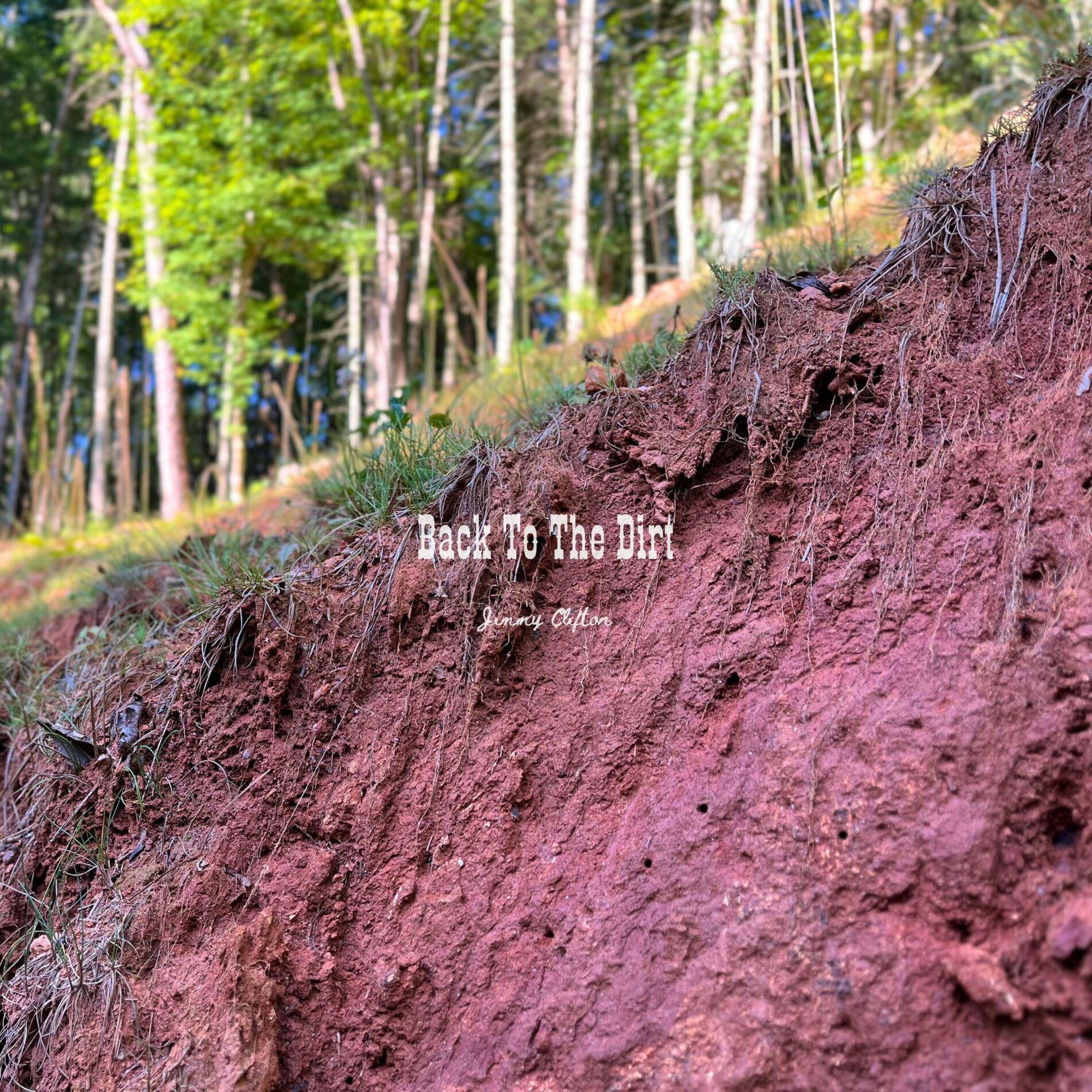 Album cover of Back To The Dirt