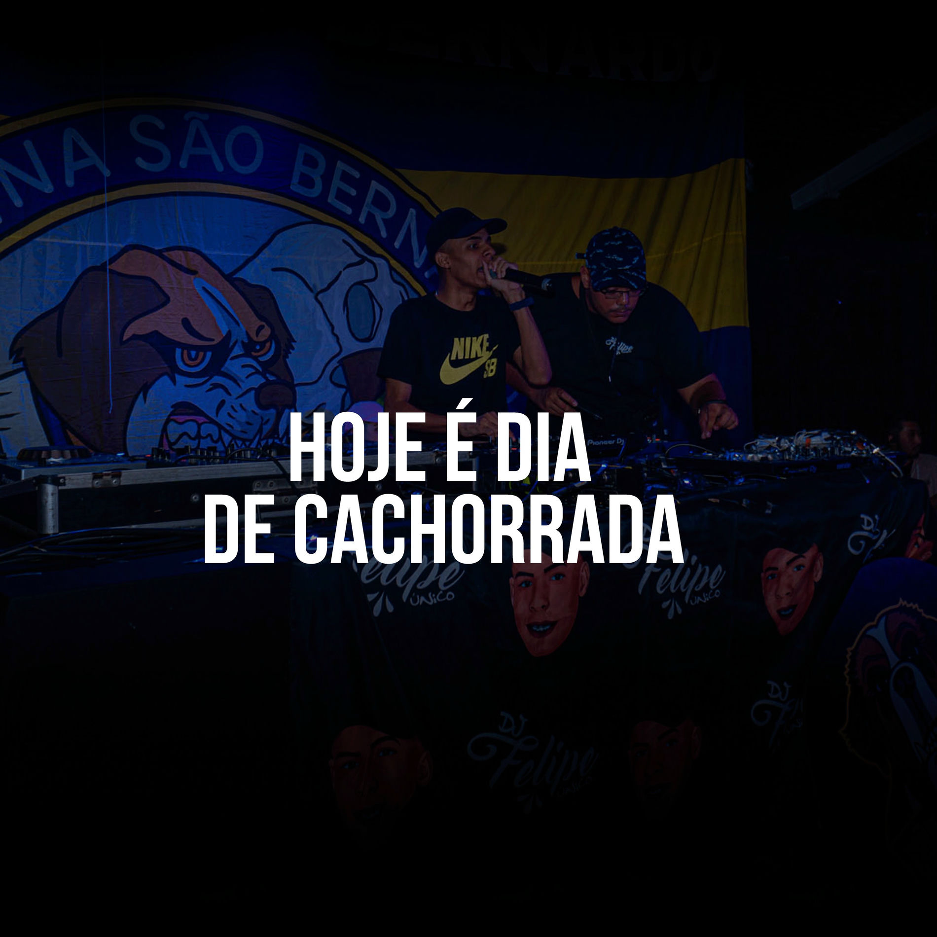 Album cover of Hoje É Dia de Cachorrada