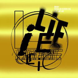 Cover of LiE LiE LiE