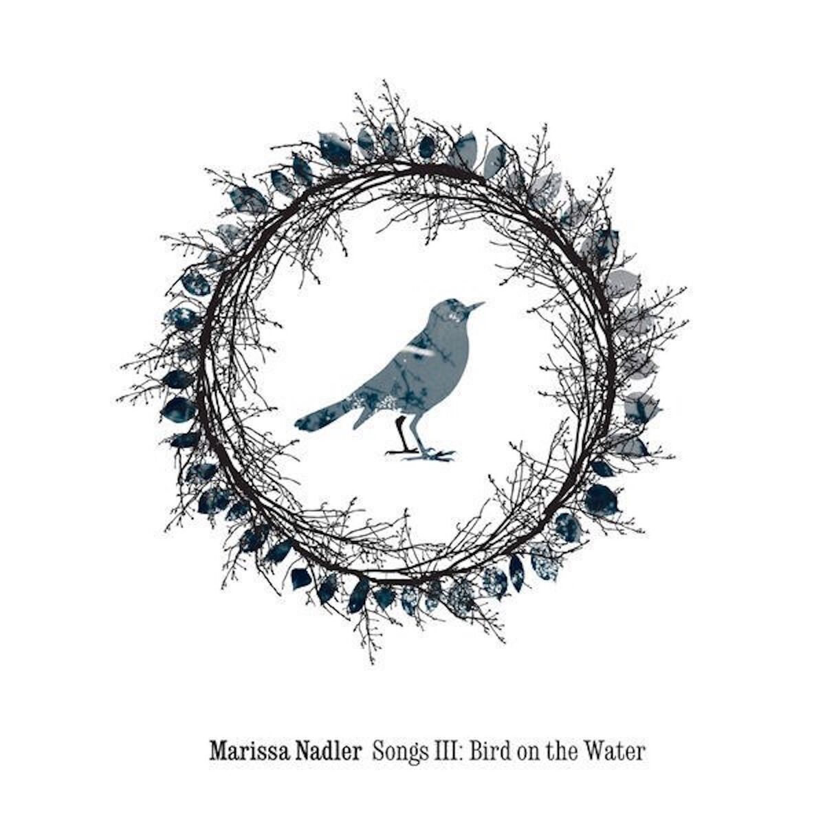 Album cover of Famous Blue Raincoat
