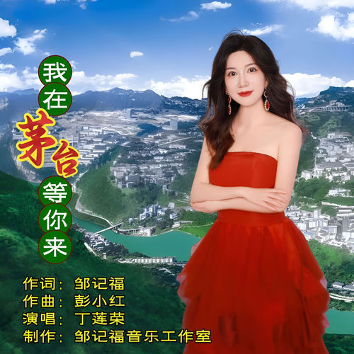 我在茅台等你来