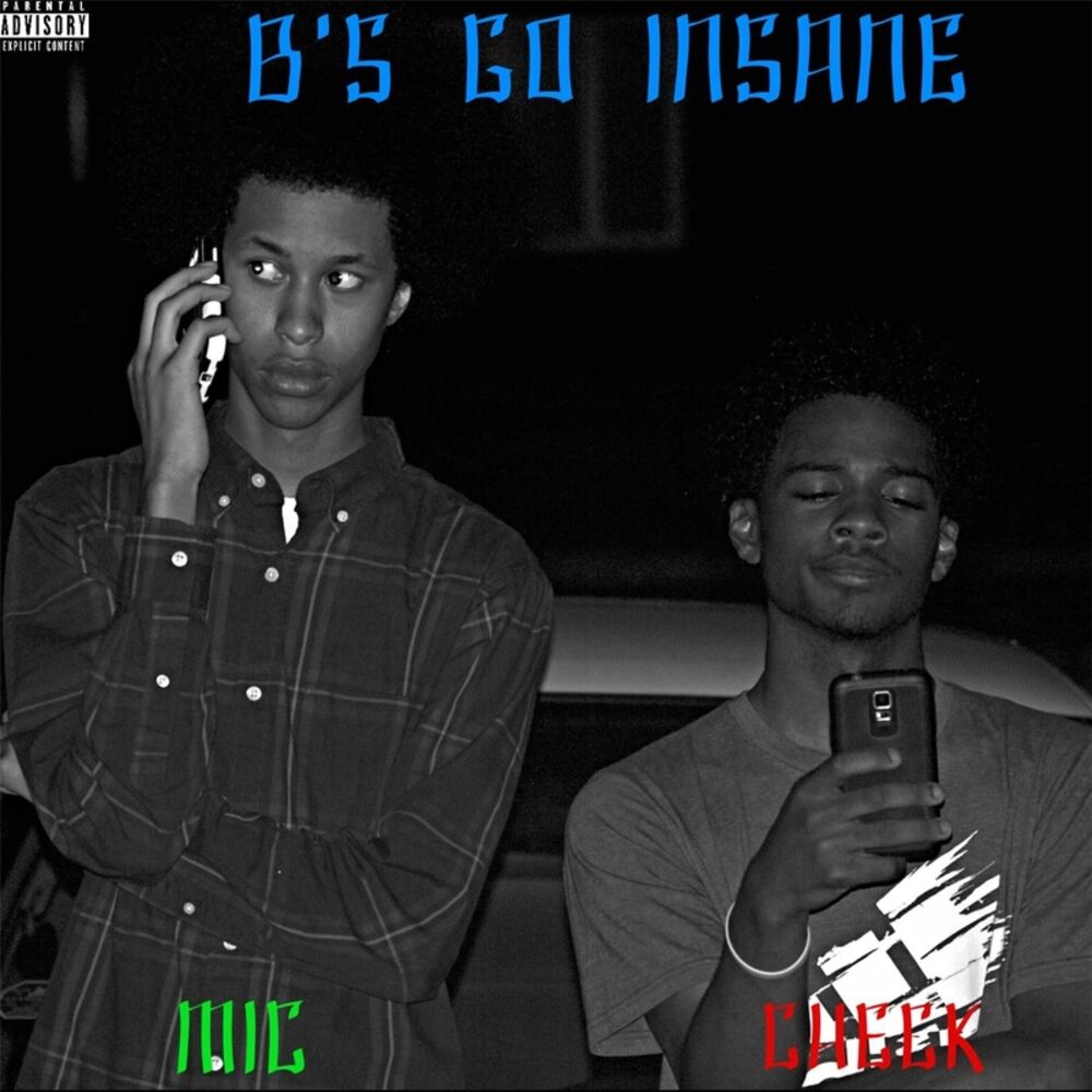 Picture of B's Go Insane