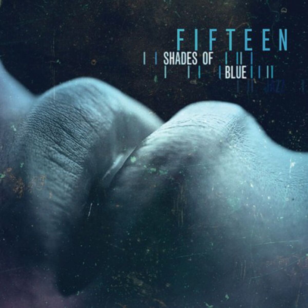 Album cover of 15 Shades of Blue