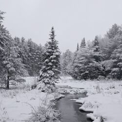 Cover of Winter