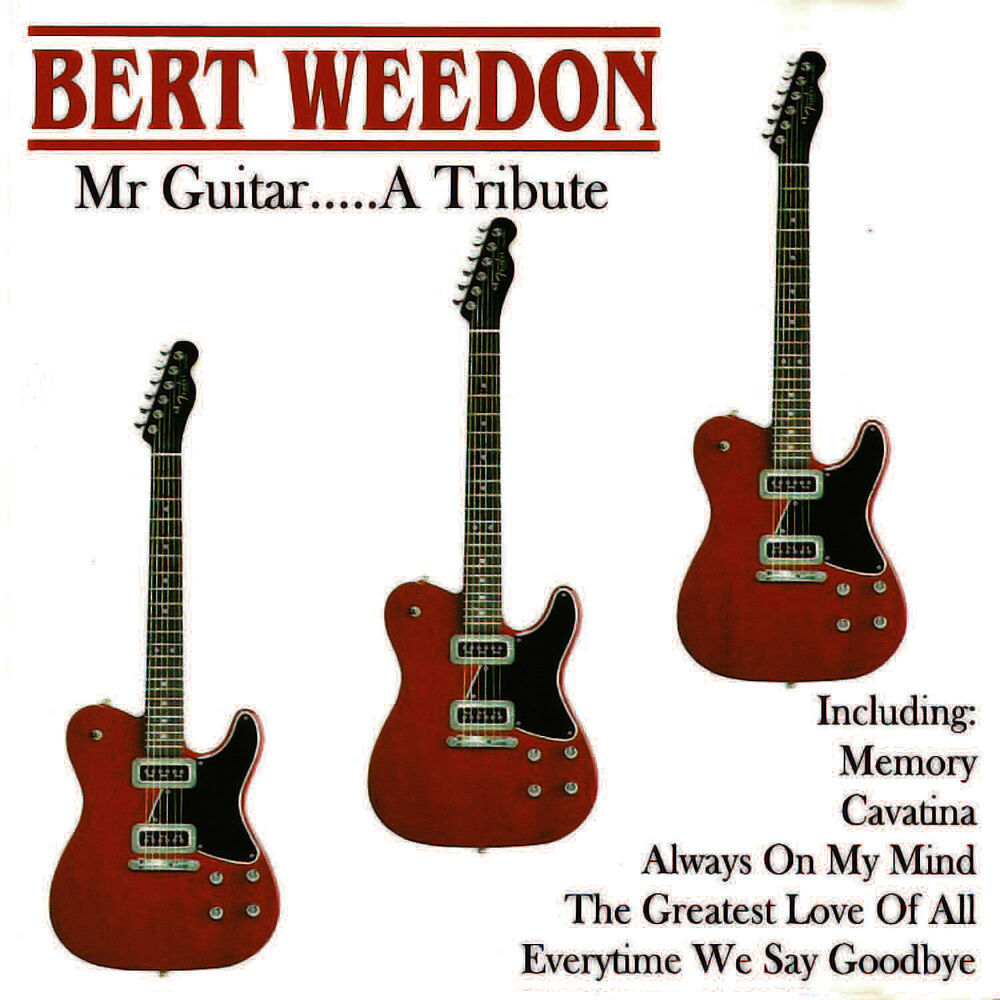 Picture of Mr Guitar... A Tribute
