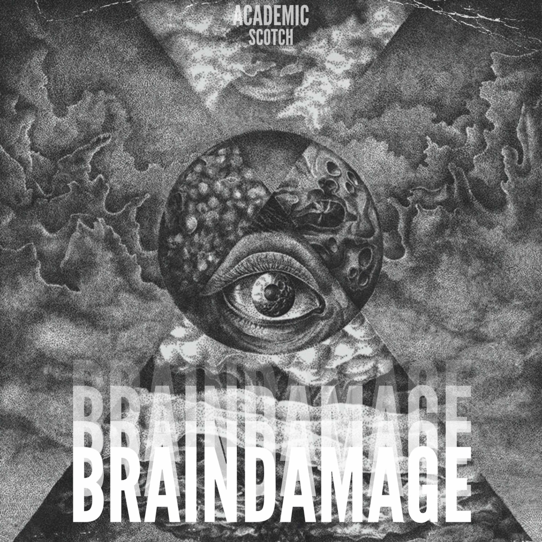 Album cover of Braindamage