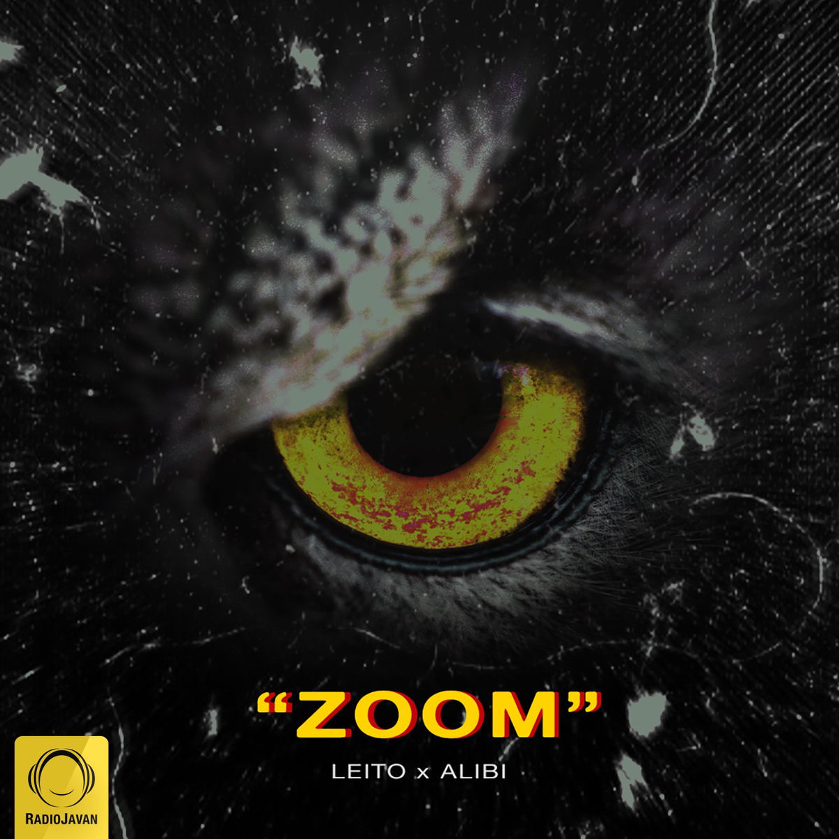 Album cover of Zoom
