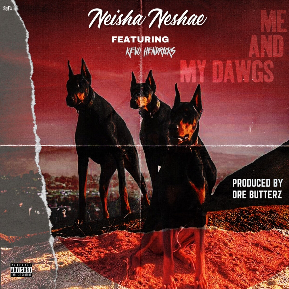 Album cover of Me and My Dawgs