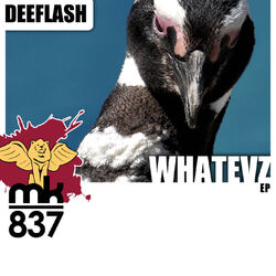 Cover of Whatevz EP