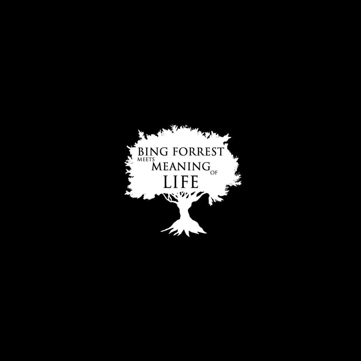 Album cover of Bing Forrest Meets Meaning of Life