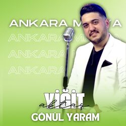 Cover of Gönül Yaram