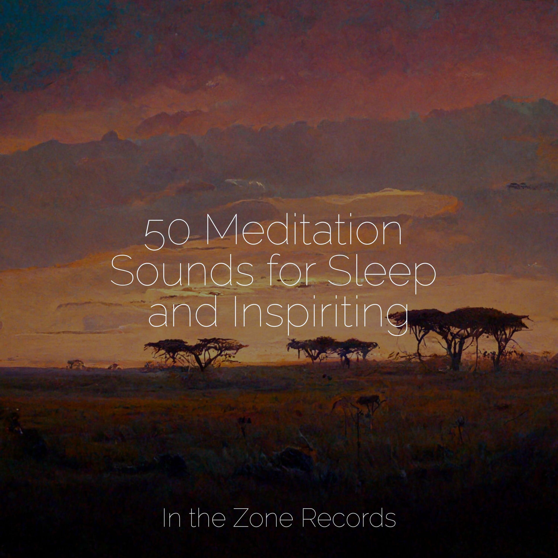 Album cover of 50 Meditation Sounds for Sleep and Inspiriting