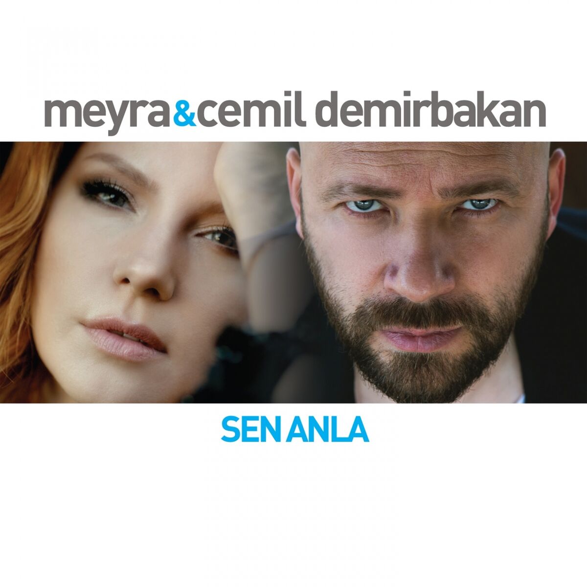 Album cover of Sen Anla