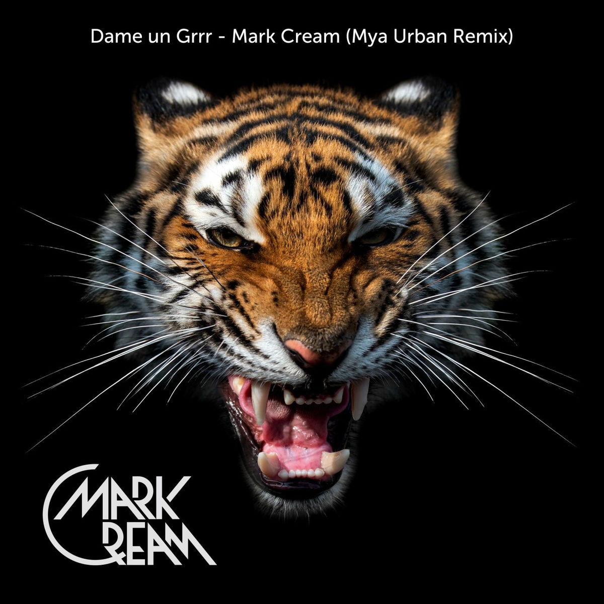 Album cover of Dame Un Grr (Kate Linn and Fantomel Urban Remix)