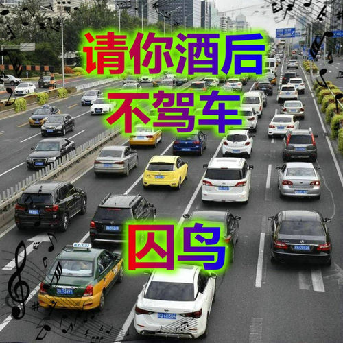 请你酒后不驾车