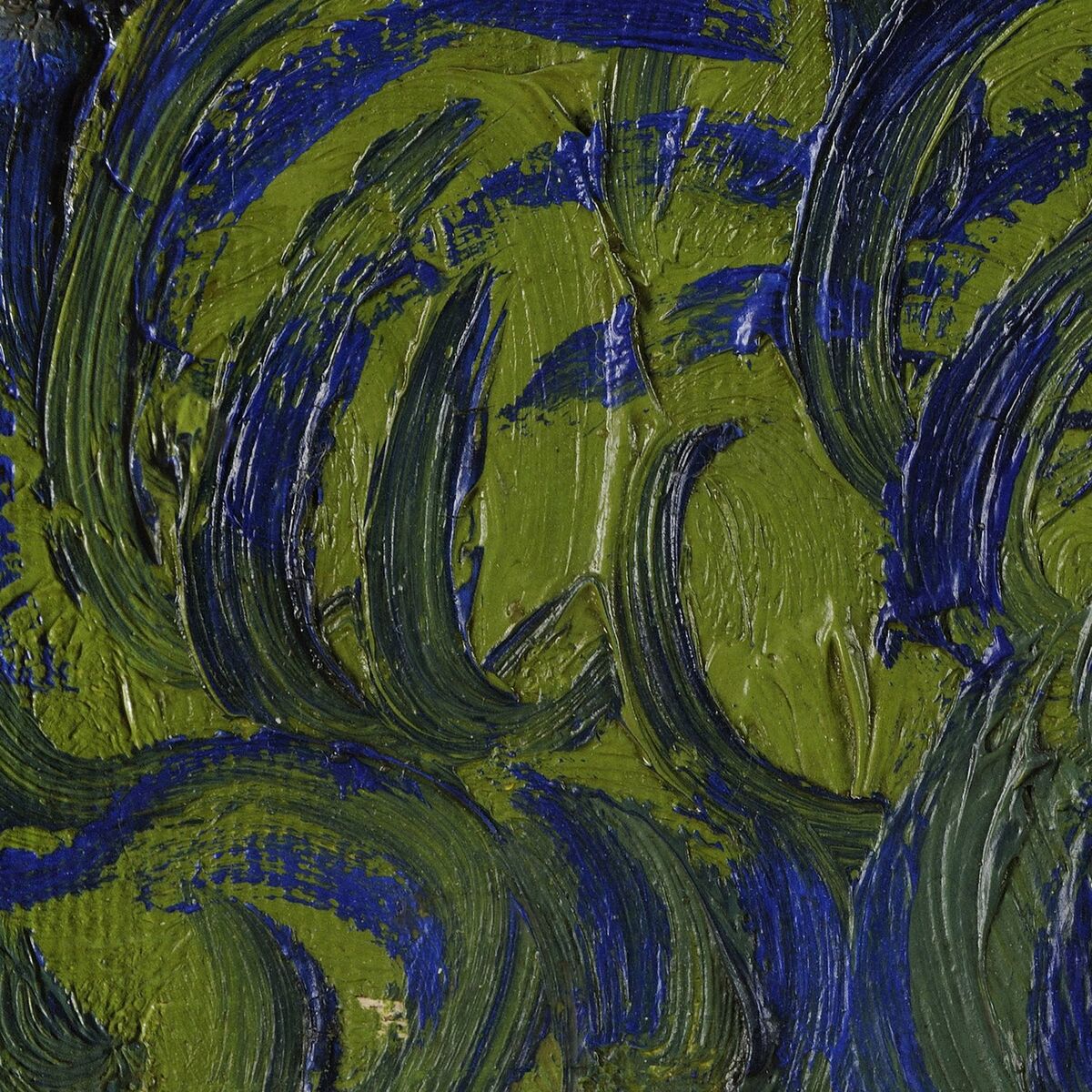 Album cover of The secret of plants