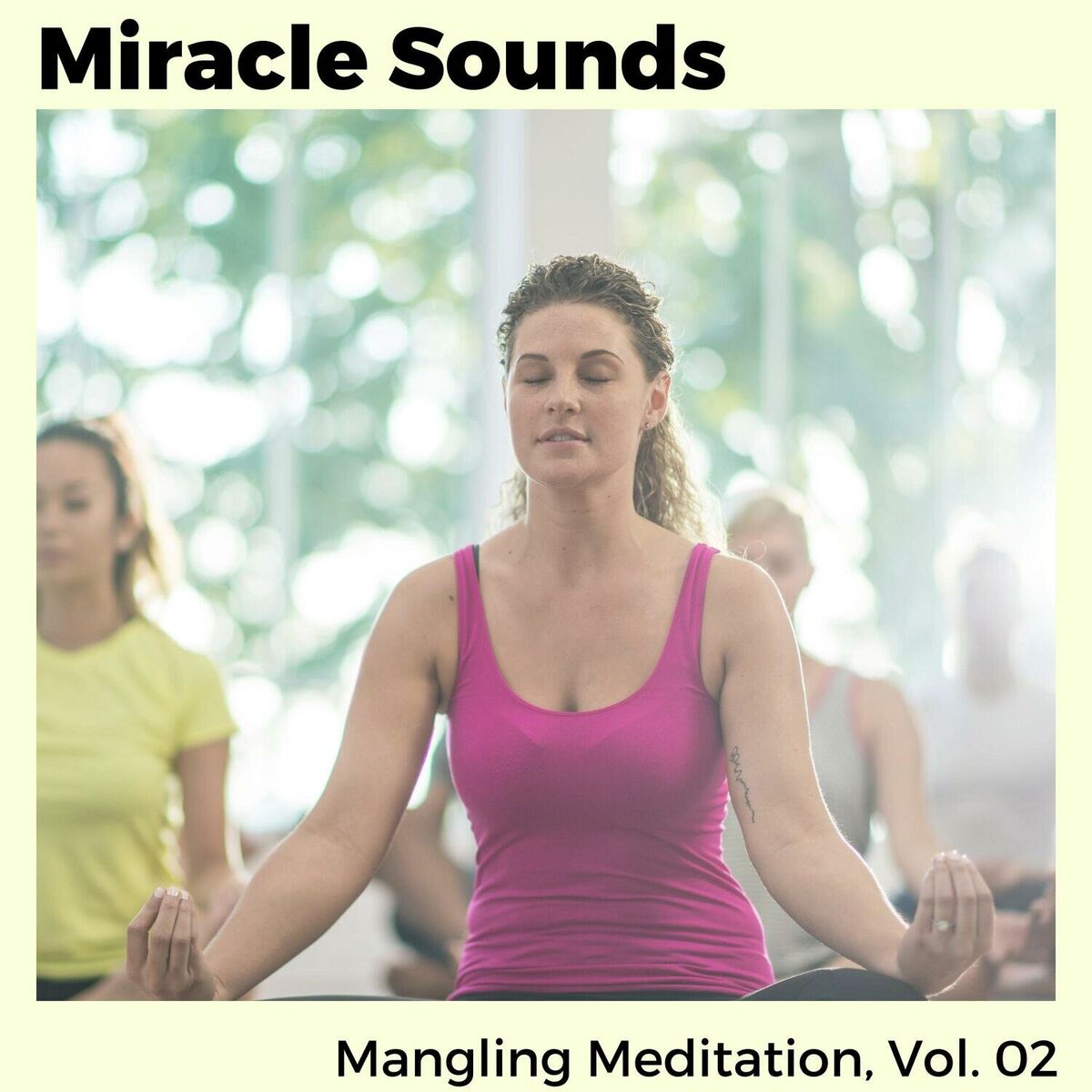 Album cover of Miracle Sounds - Mangling Meditation, Vol. 02
