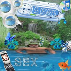 Cover of 55 Degrees