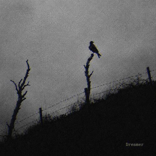 dreamer
