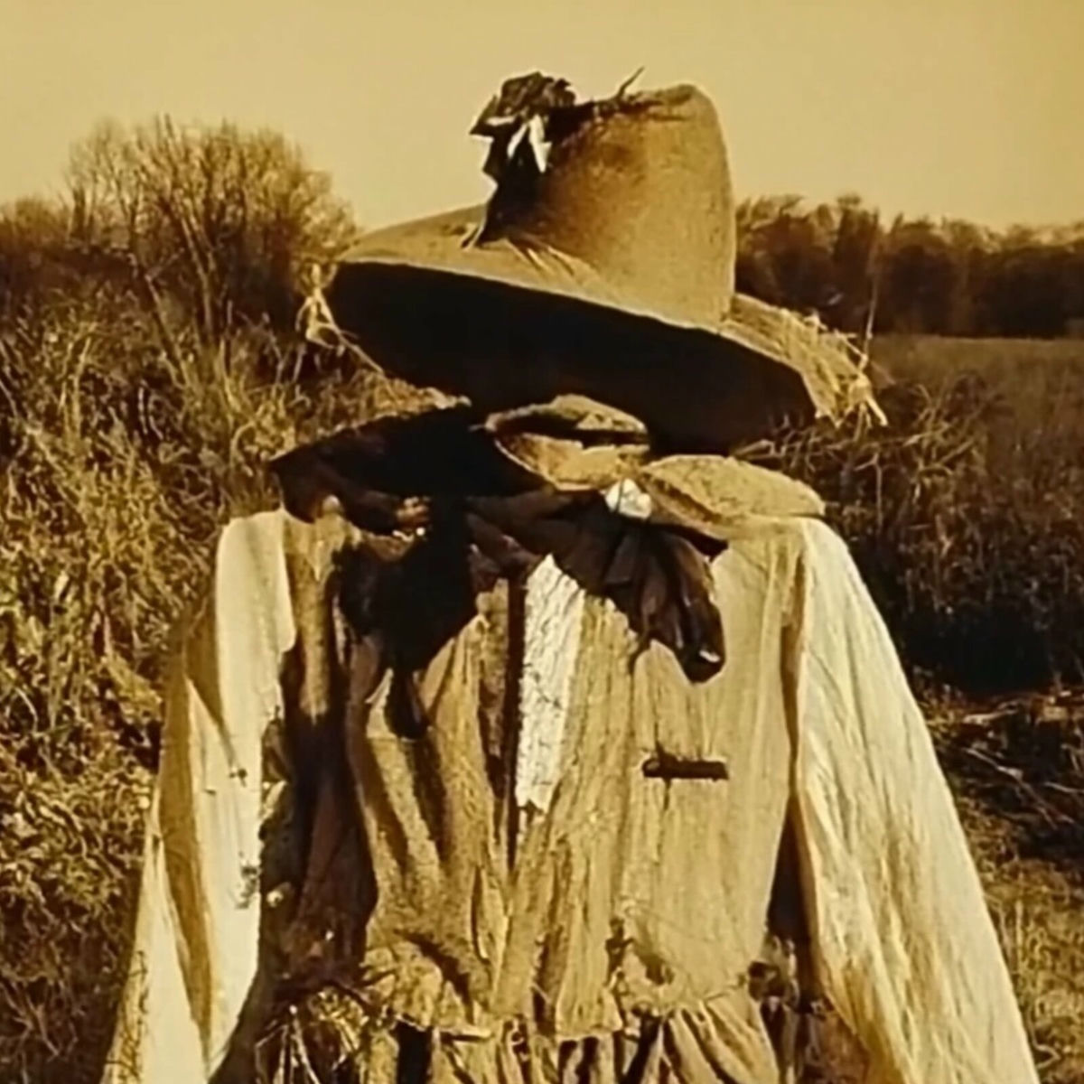 Album cover of Don't Scare the Crows Now