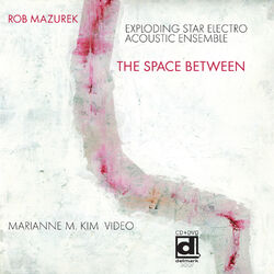 Cover of The Space Between