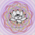 Lotus Rising