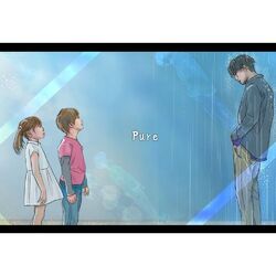 Cover of Pure