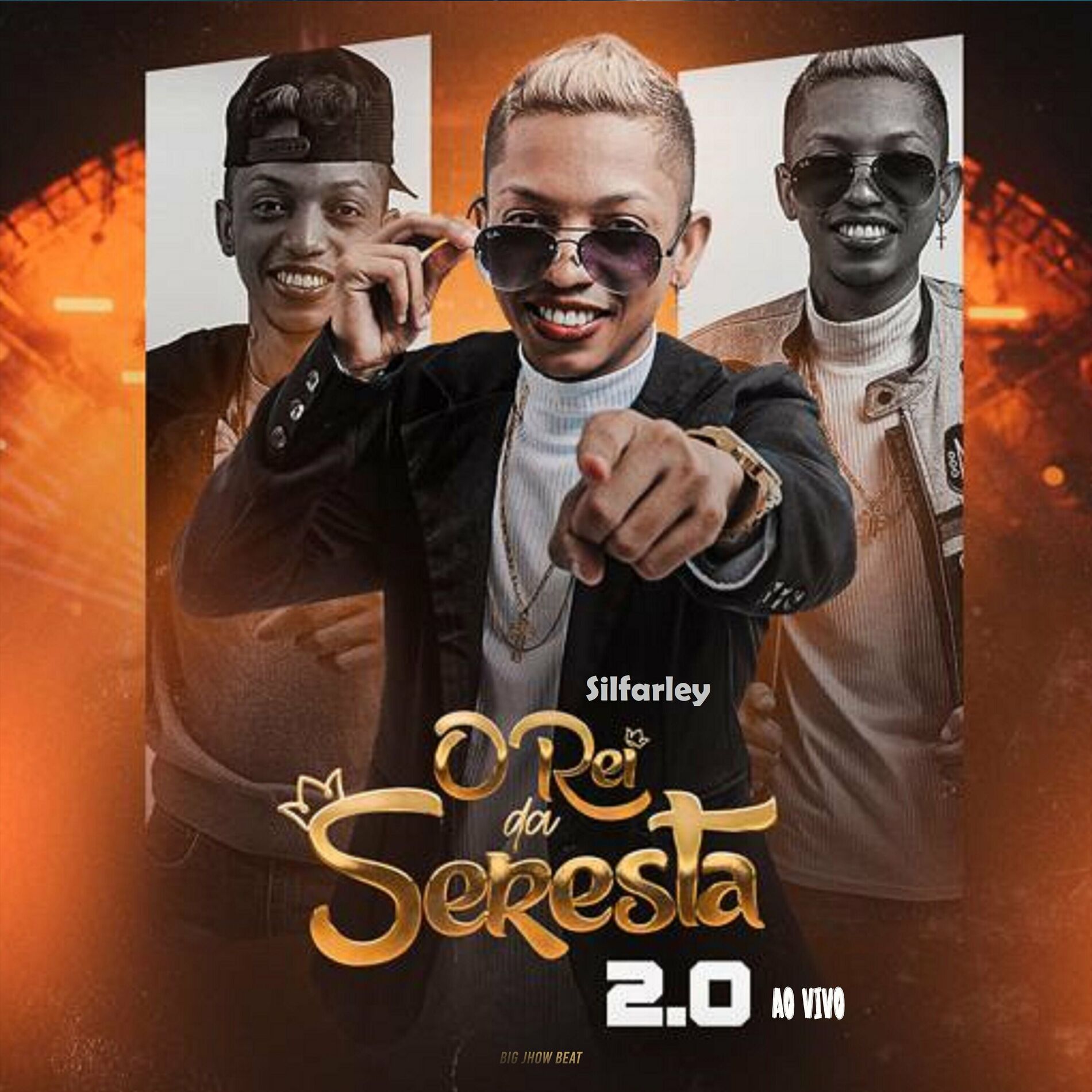 Album cover of O Rei da Seresta 2.0 Ao Vivo