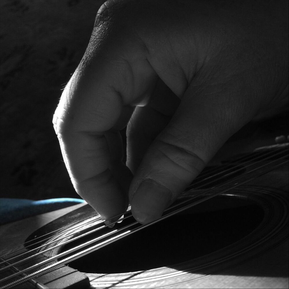 Picture of The Collector's Passion
