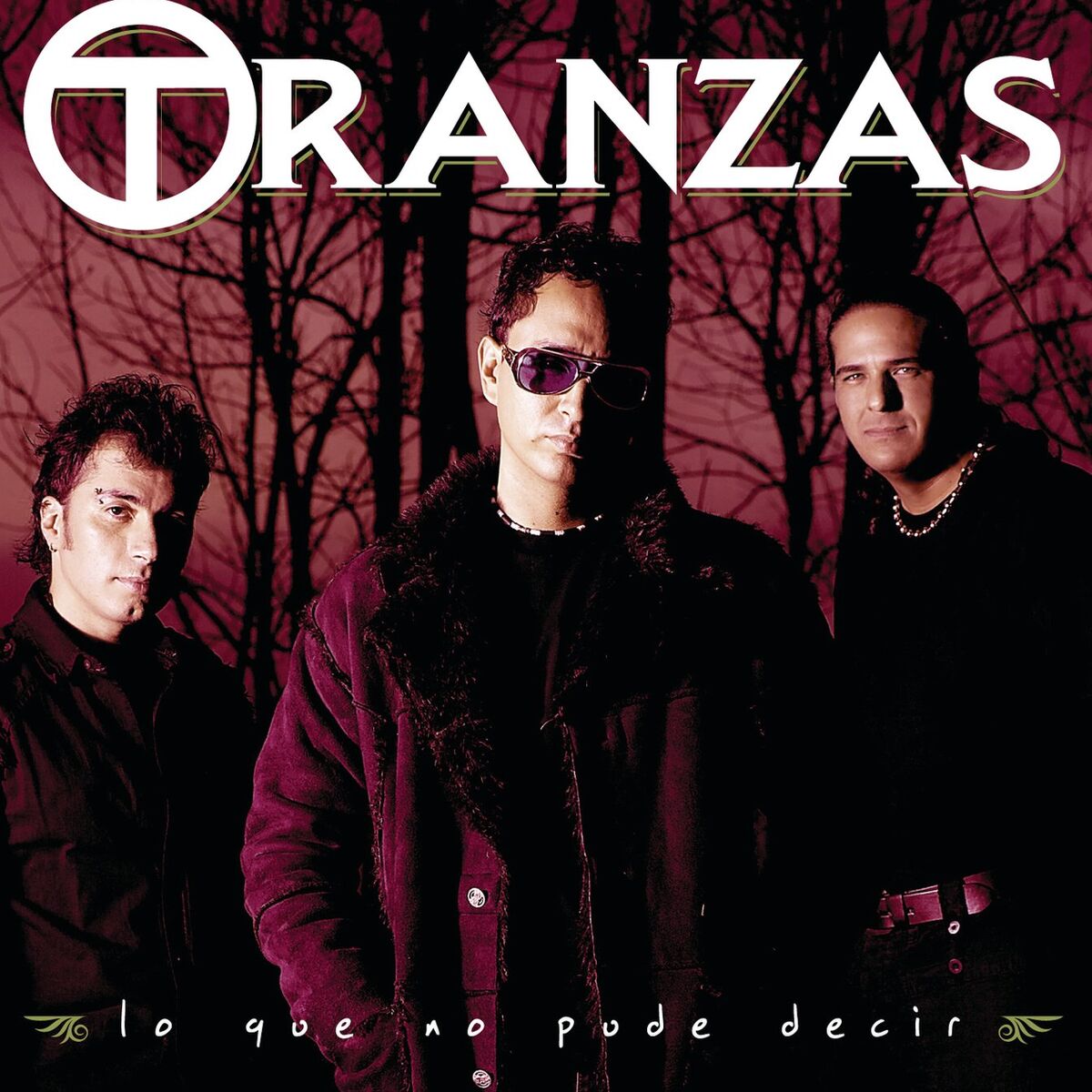 Album cover of Lo Que No Pude Decir