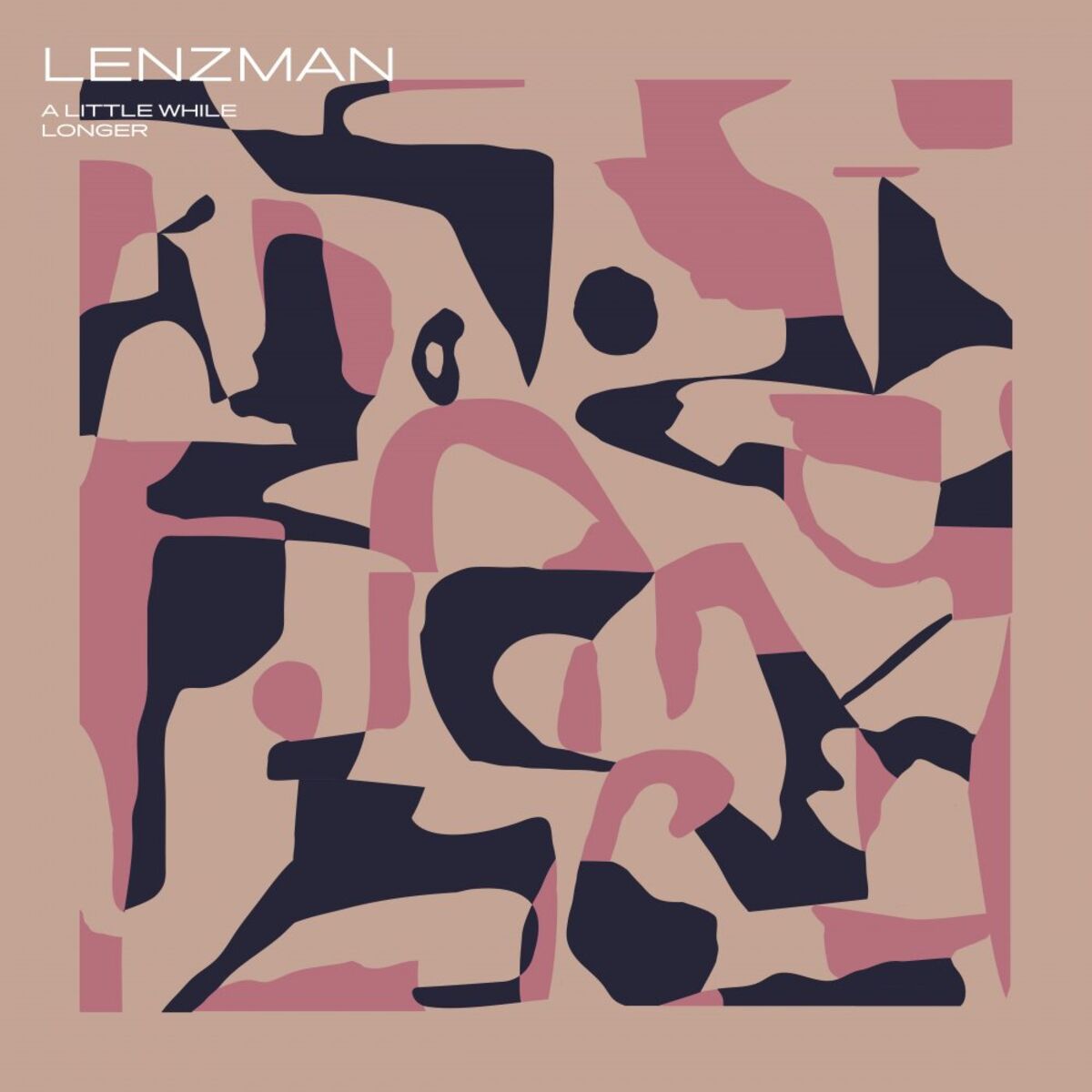 Album cover of A Little While Longer
