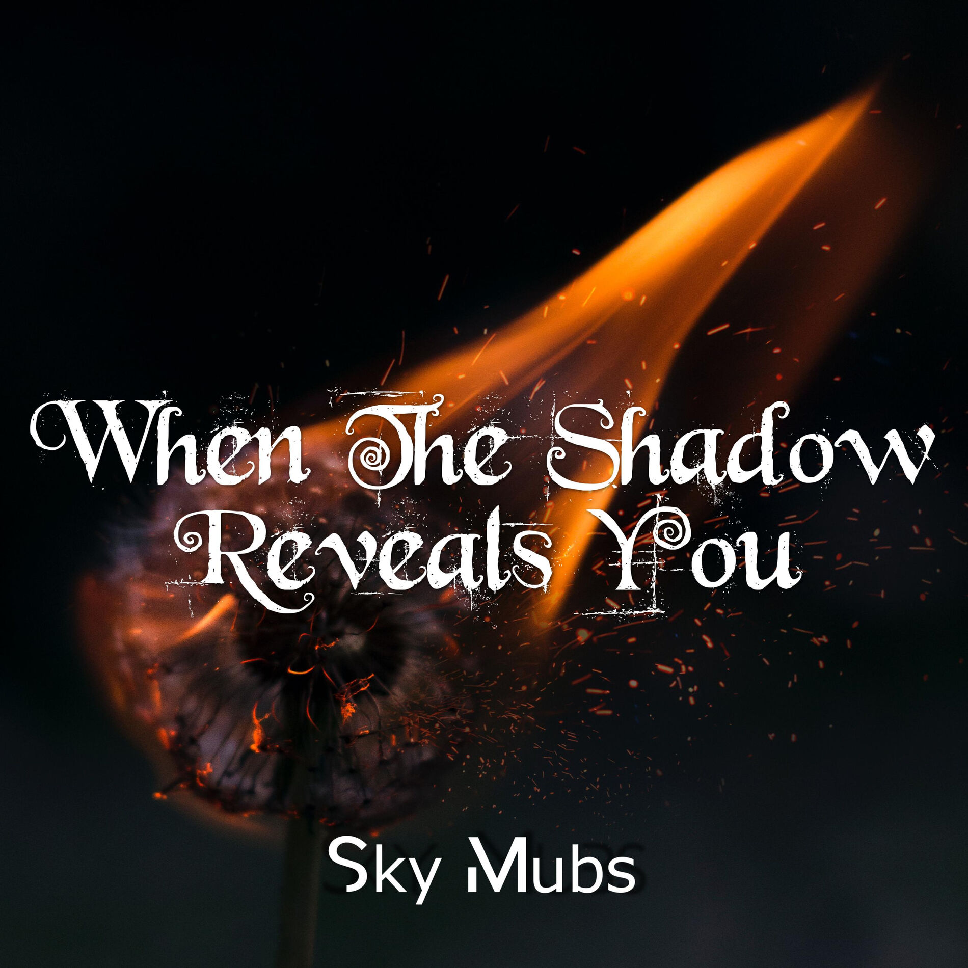Album cover of When the Shadow Reveals You
